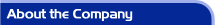 About IIST the Software QA & Testing Training Company